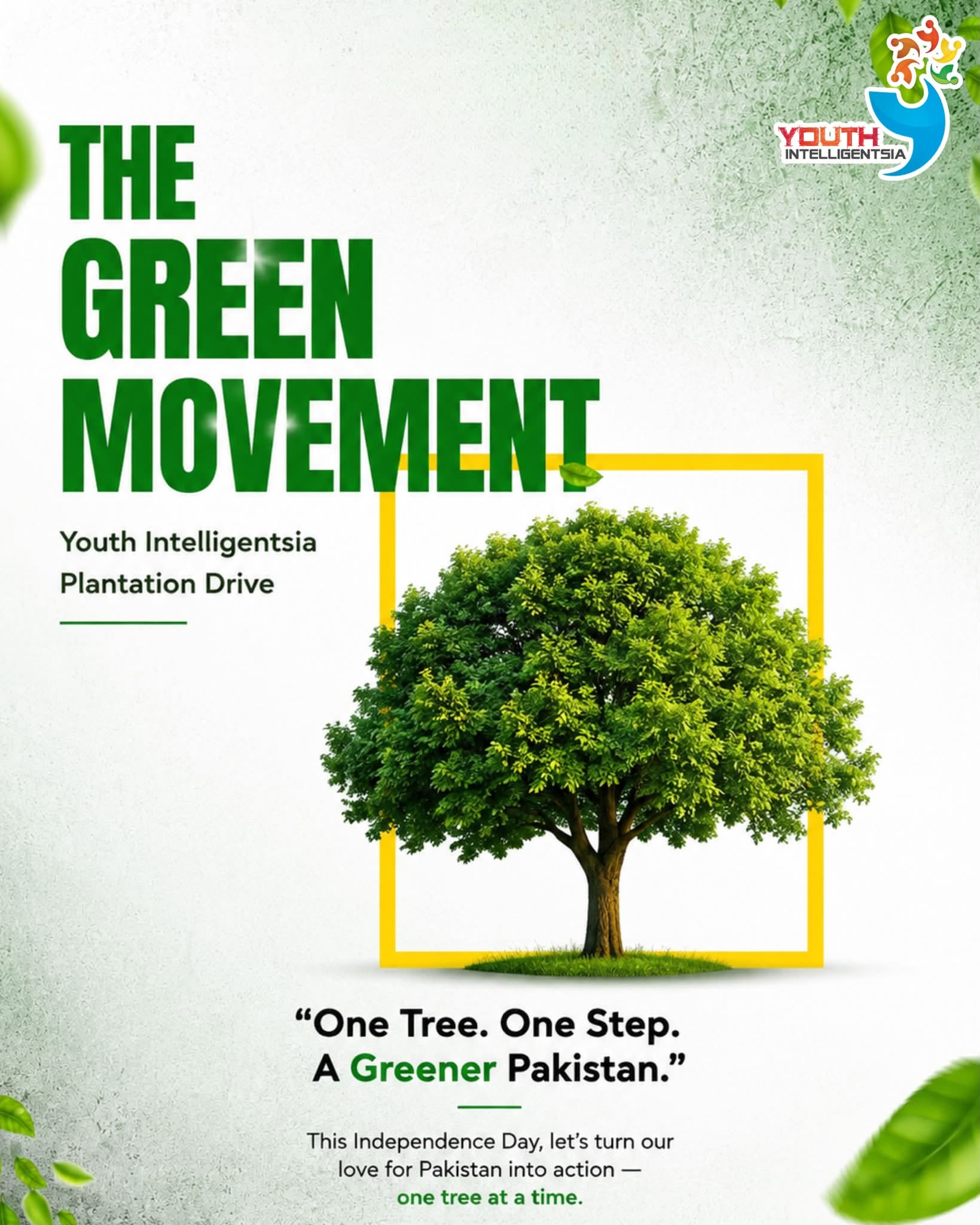 Plantation Drive